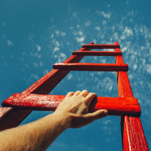 INAMA LADDER TO SUCCESS One to One Coaching