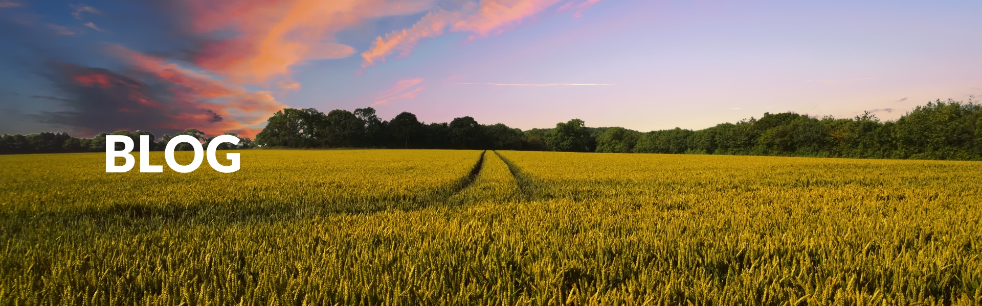 INAMA WEBSITE IMAGES 1920x600px (17)