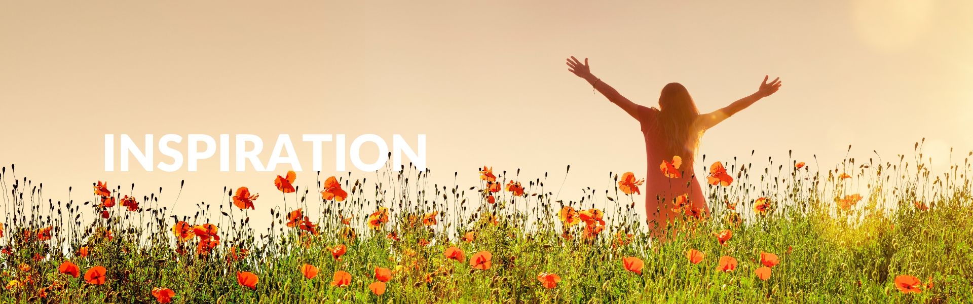 INAMA WEBSITE IMAGES 1920x600px (21) Inspiration